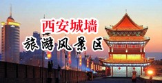 男女三七毛片视频免费观看中国陕西-西安城墙旅游风景区